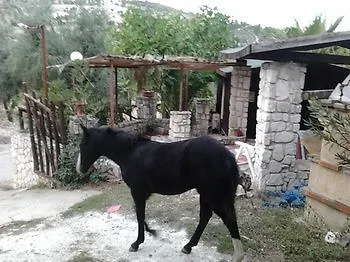 Agri Costella Country 3*